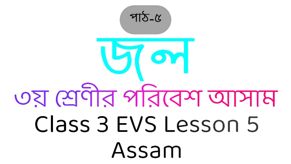 Class 3 EVS Assam