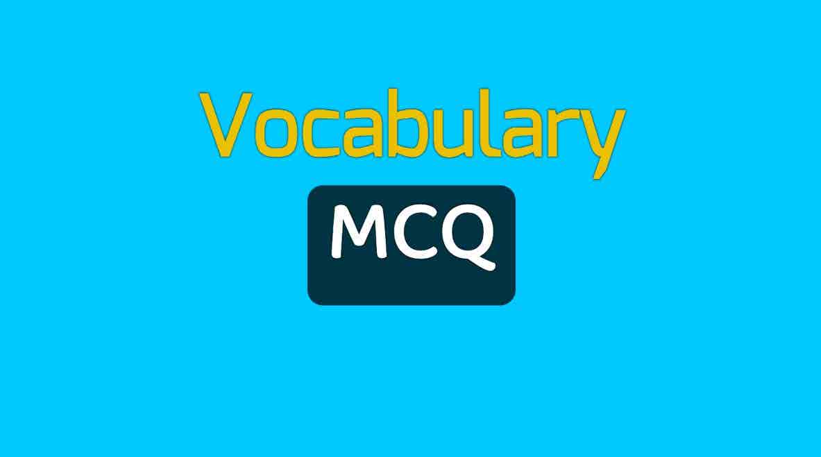 Vocabulary  MCQ