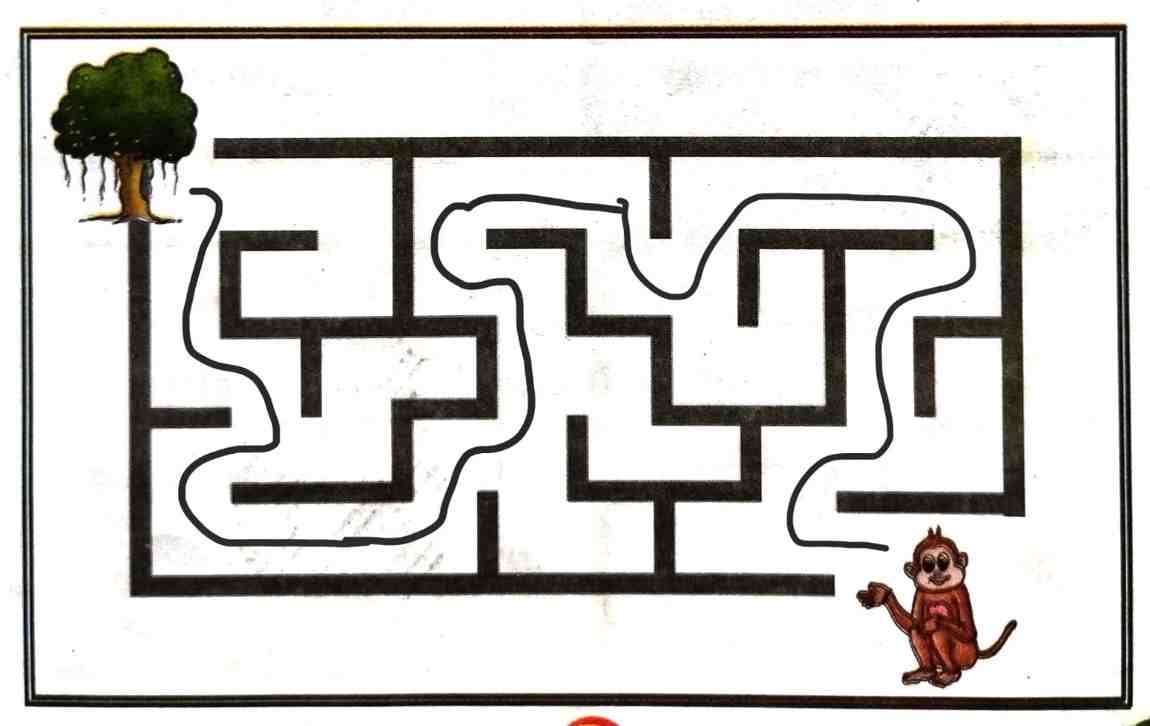 24. One day a monkey lost his way while he was looking for fruits. Help him find his home. The Monkey and the Crocodile | Class 3 English Lesson 2 Question Answer | Notes