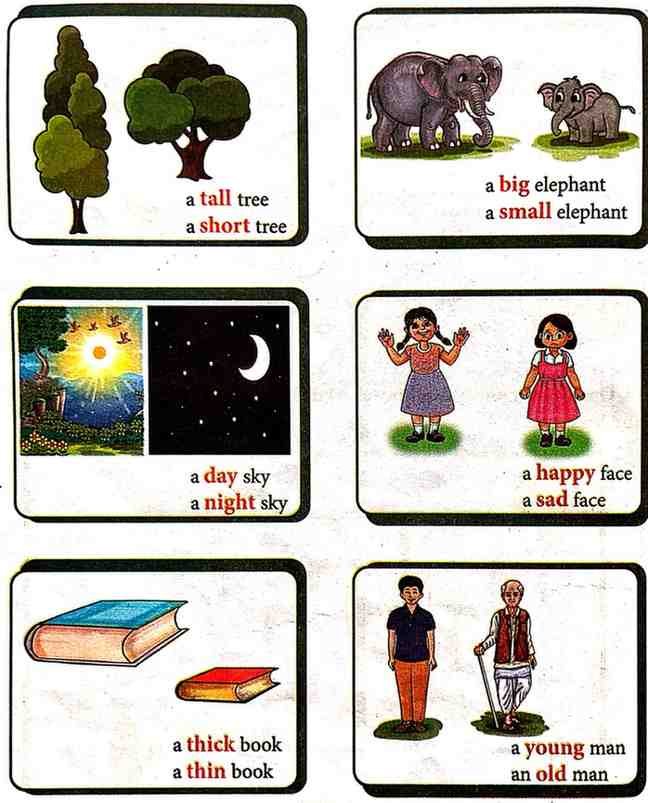 25. a) Look at the pictures and read : The Monkey and the Crocodile | Class 3 English Lesson 2 Question Answer | Notes