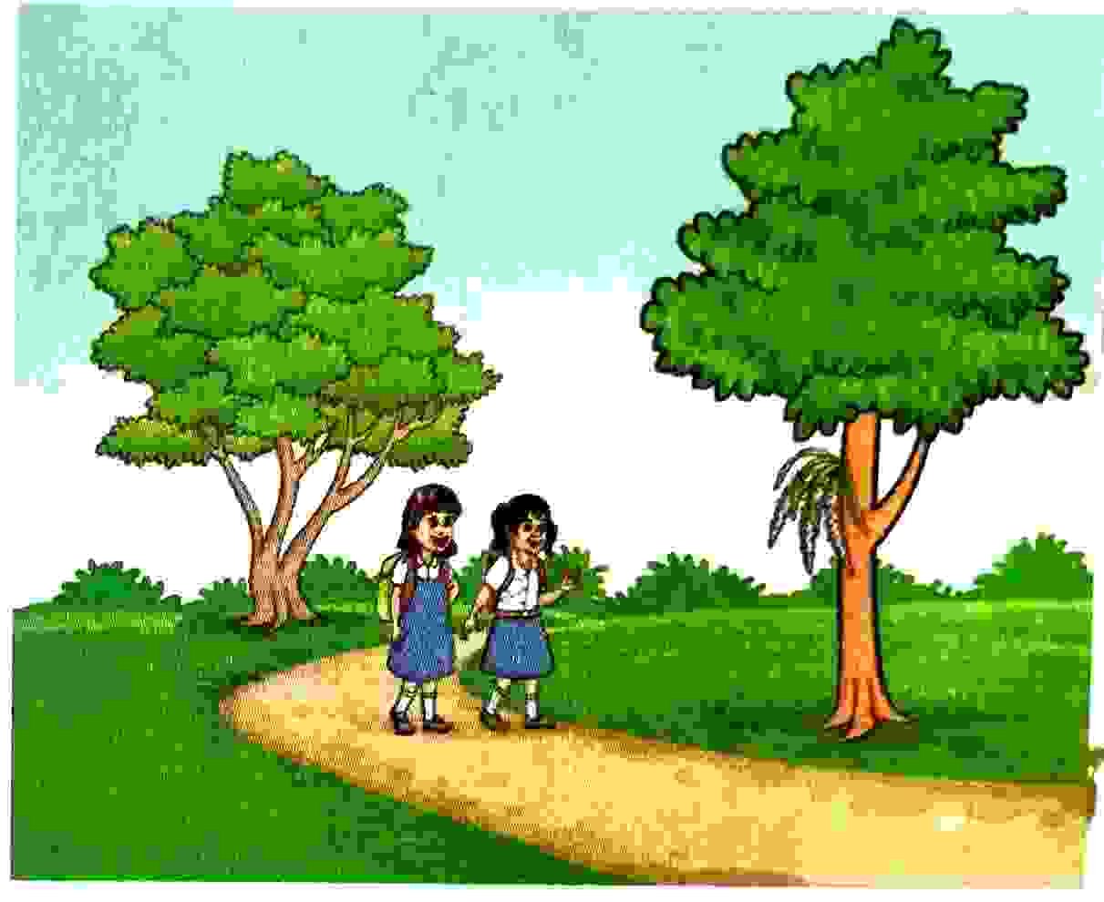14. a) Let's read: It was a hot summer day in the month of April. The school reopened after Bohag Bihu holidays. Bohag Bihu is celebrated in Assam in the spring season. Two girls, Barasha and Mousumi were walking to school. Suddenly, Barasha stopped walking. Then she walked over to a tree and cheered with joy. Class 3 English Lesson 1 Clouds | Class 3 English Question Answer | Assam Board