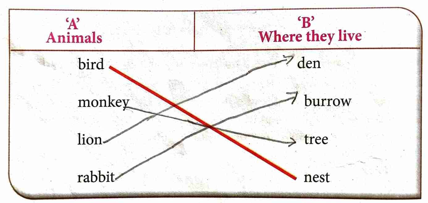 4. Match words in column 'A' with those in column 'B'. One is done for you. The Monkey and the Crocodile | Class 3 English Lesson 2 Question Answer | Notes