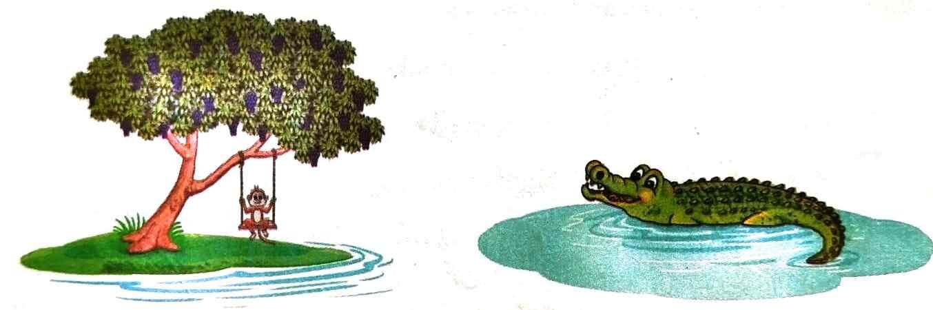 7. Look at the pictures and read the sentences below : The Monkey and the Crocodile | Class 3 English Lesson 2 Question Answer | Notes