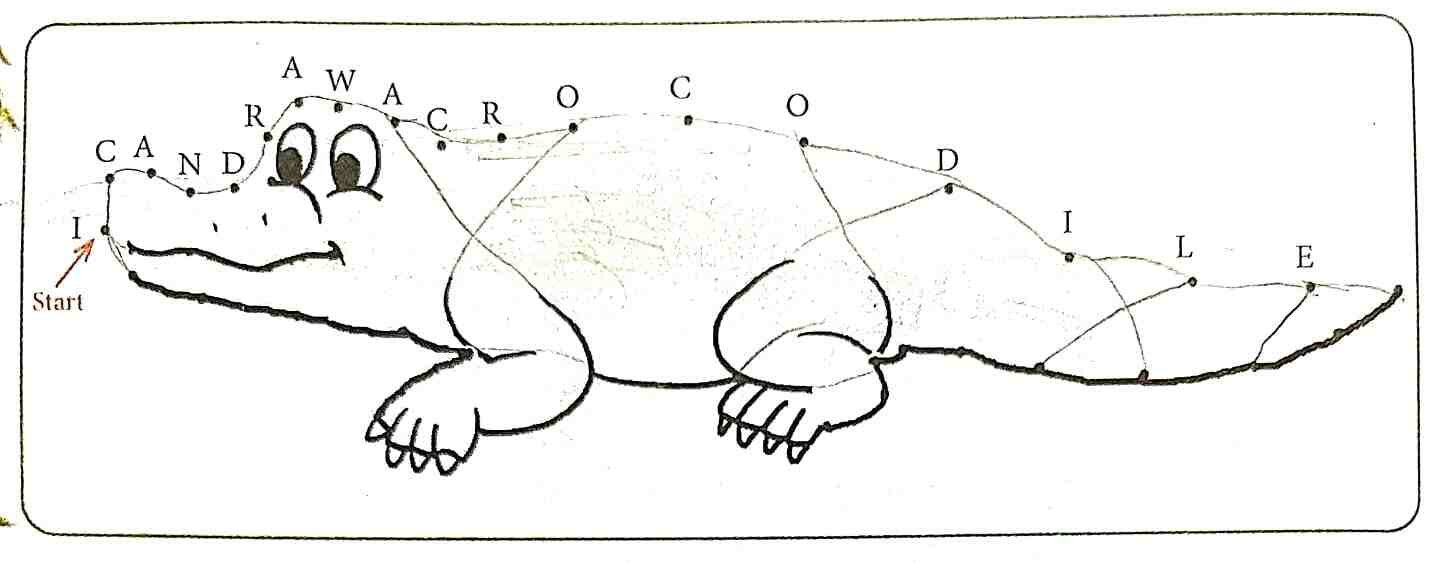 15. Listen to your teacher and follow the instructions to find out the sentence: The Monkey and the Crocodile | Class 3 English Lesson 2 Question Answer | Notes
